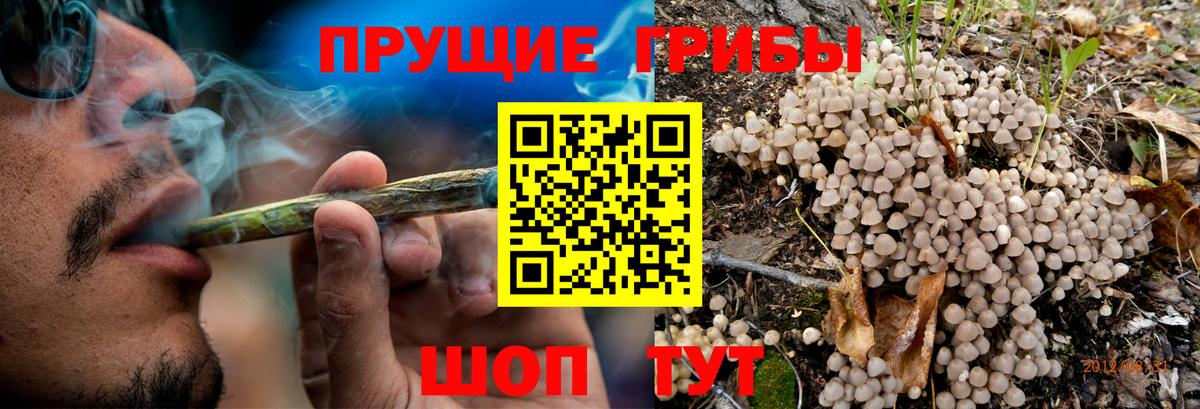 Галлюциногенные грибы MAGIC MUSHROOMS  Вход с VPN  Волжск  Псилоцибиновые грибы Cubensis 