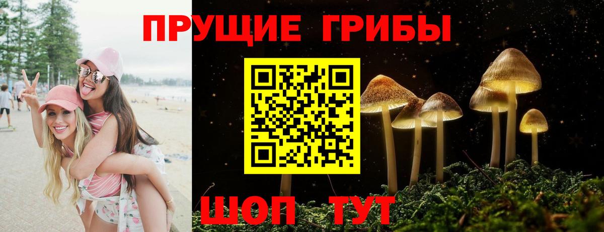Галлюциногенные грибы мицелий Волжск